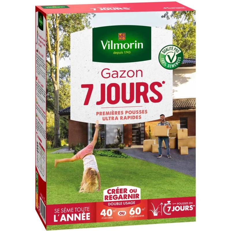 Vilmorin - Gazon 7 jours semences boîte 1 kg - VILMORIN - Image 3