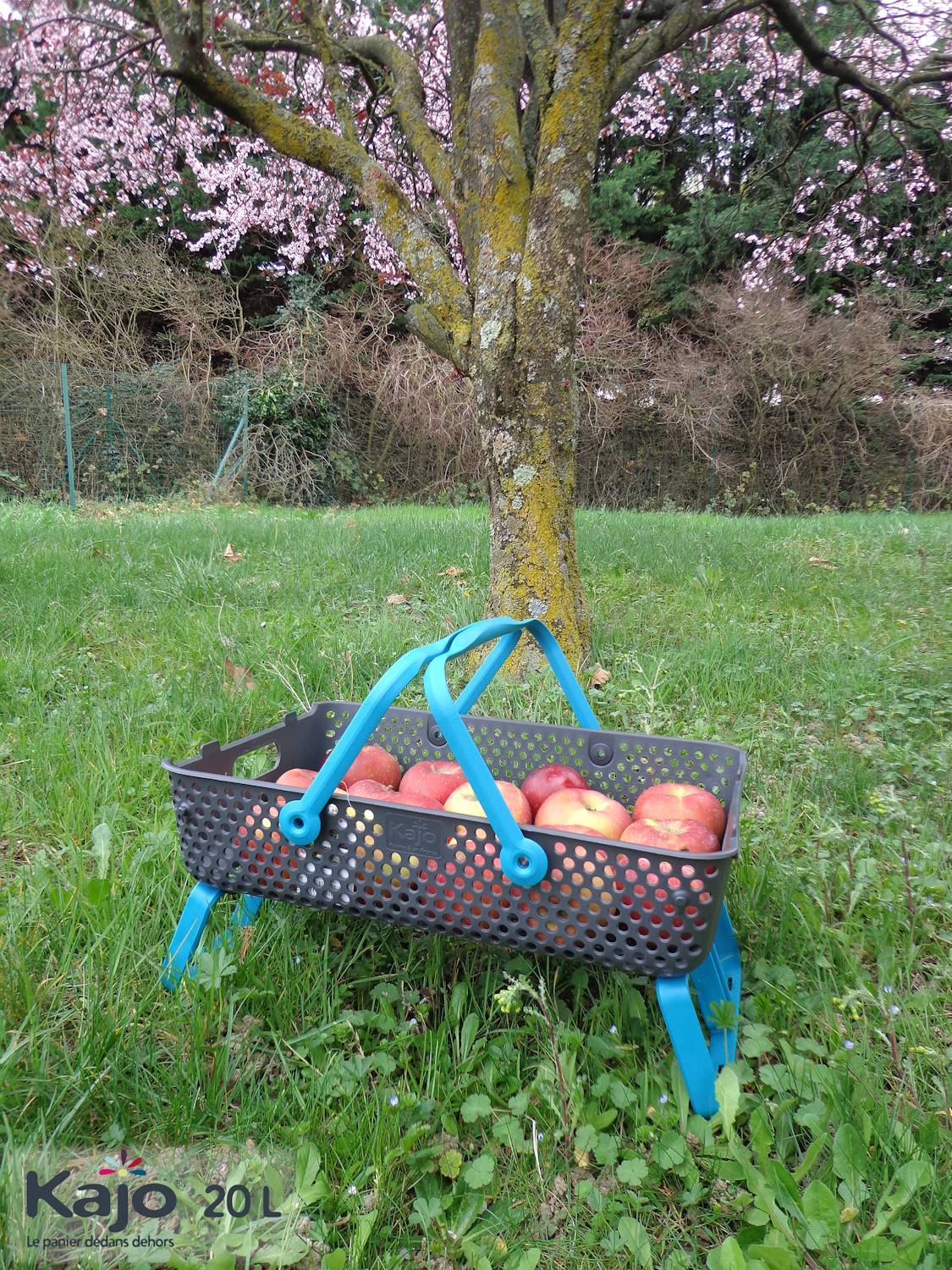 Panier de récolte et conservation - KAJO - Imagen 4