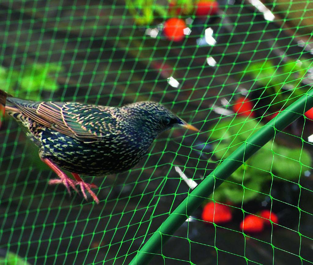 Jardiland - Jardiland - Filet de protection pour oiseaux vert 200 x 500 cm