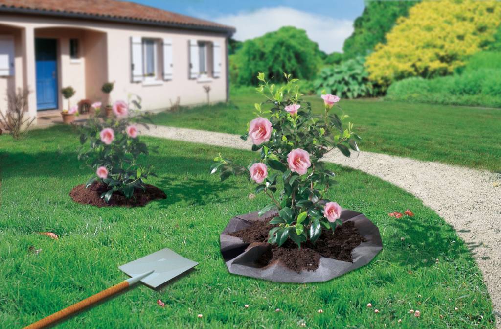 Jardiland - Feutre de plantation pour arbustes terre de bruyère 1,5x6 m