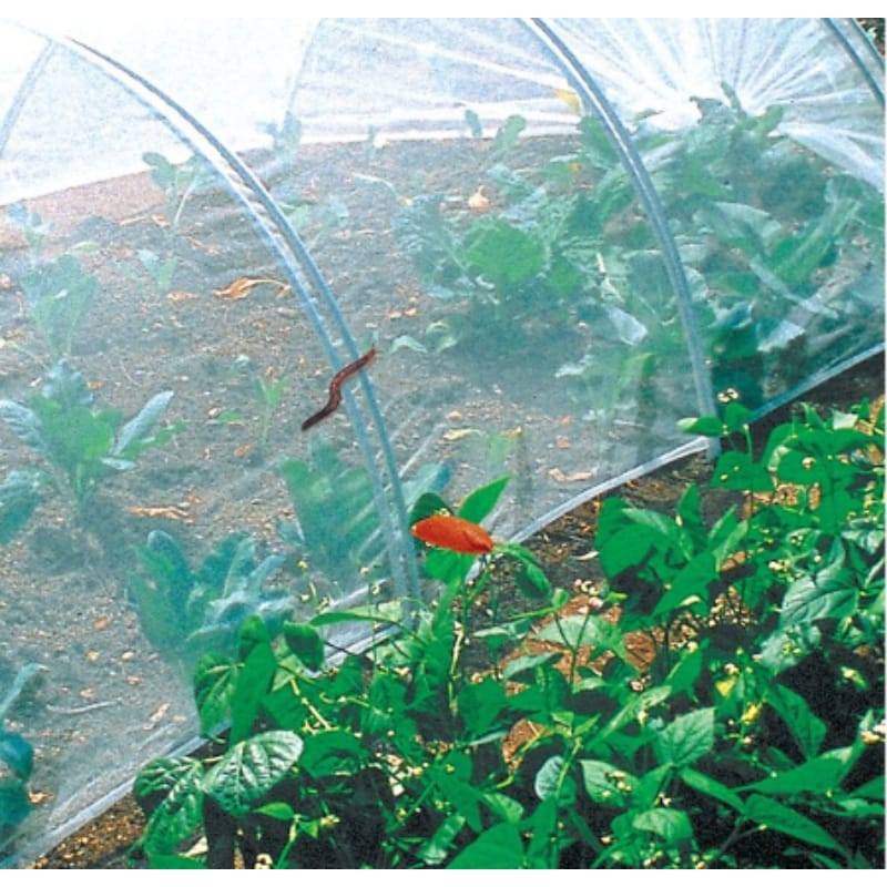 Nortène - BIOCONTROL Filet anti-insectes blanc 3,30x10 m - Imagen 3