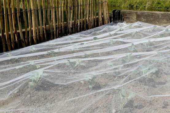 Nortène - BIOCONTROL Filet anti-insectes blanc 3,30x10 m - Image 6