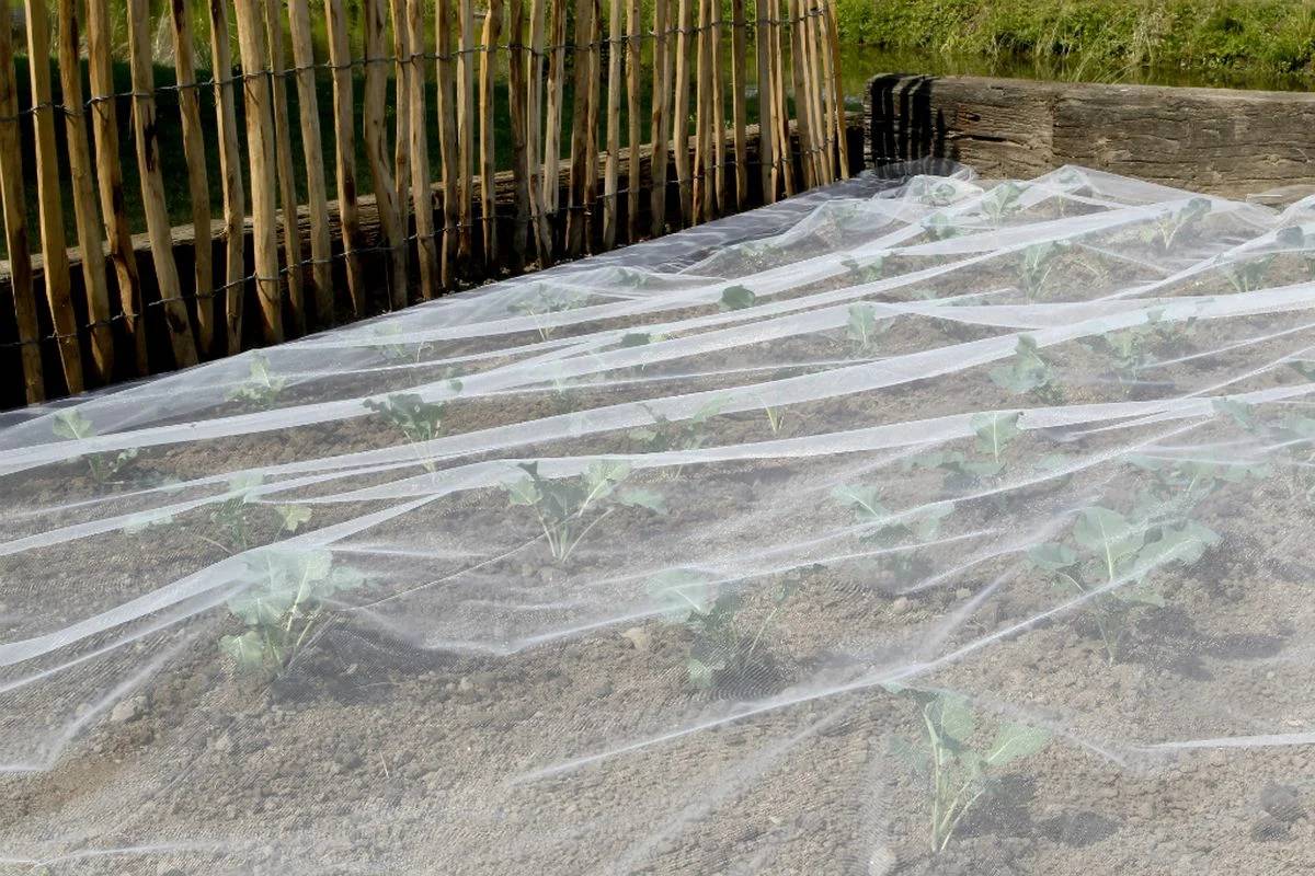 Nortène - BIOCONTROL Filet anti-insectes blanc 3,30x10 m - Imagen 6