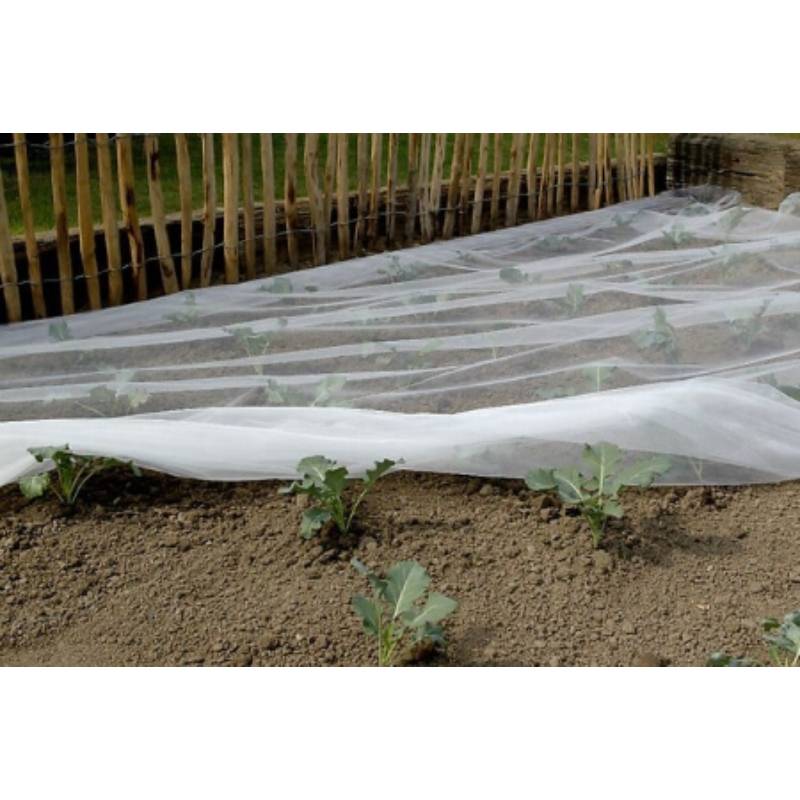 Nortène - BIOCONTROL Filet anti-insectes blanc 3,30x10 m - Imagen 9