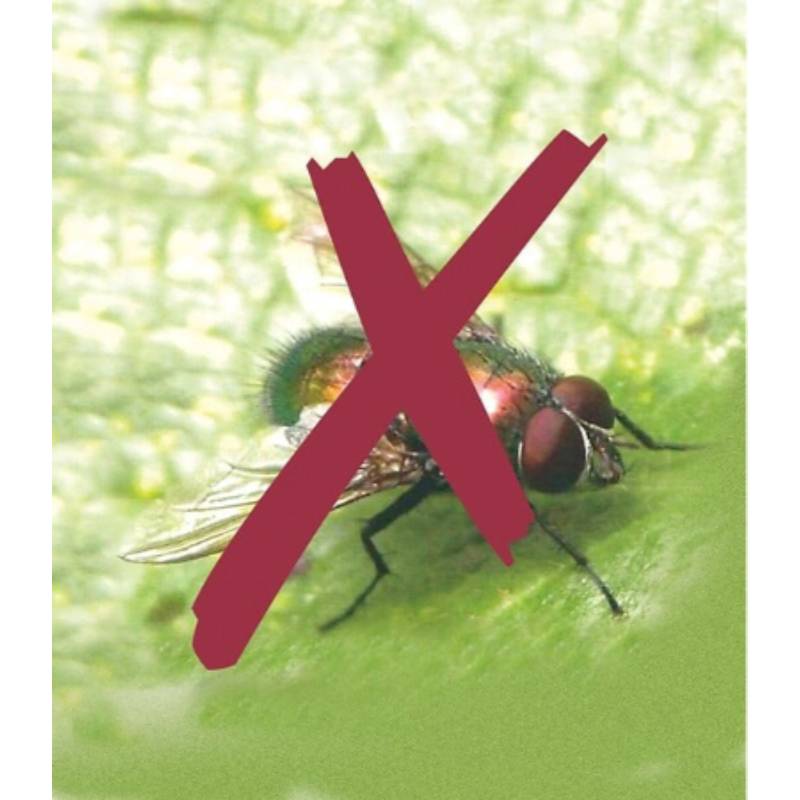 Nortène - BIOCONTROL Filet anti-insectes blanc 3,30x10 m - Imagen 10