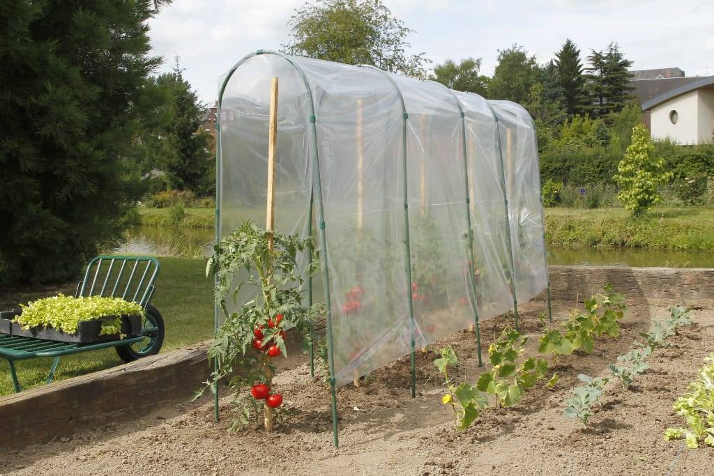 Nortène - Nortène - Film de forçage tunnel tomates L.5 x H.3,50 m - Imagen 2