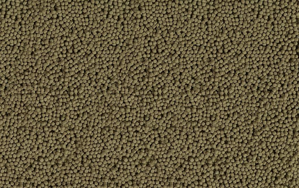 Tetra - Tetra - Aliment KOI Beauty medium 10 L - Image 2