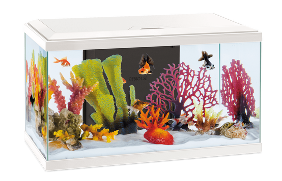 Inwa - Inwa - Pack Aquarium Confort 60 Pro Blanc - 48L - Image 1