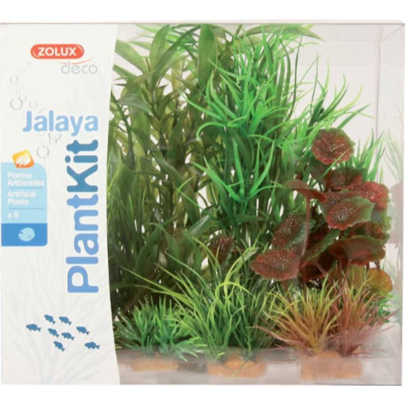 Zolux - Kit de plantes pour aquarium - ZOLUX