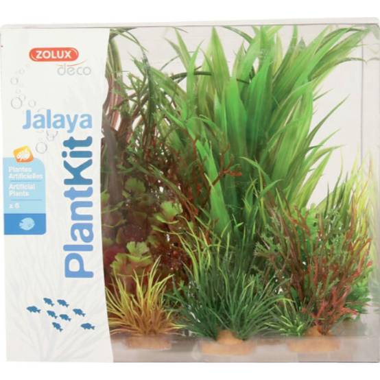 Zolux - Kit de 6 plantes artificielles - ZOLUX