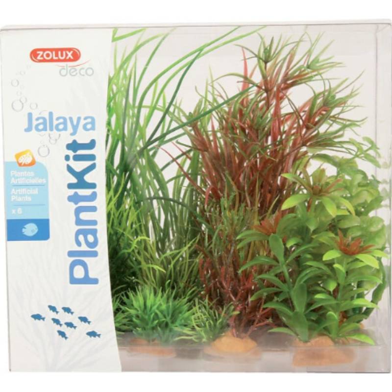 Zolux - Kit de 6 Plantes Artificielles - ZOLUX