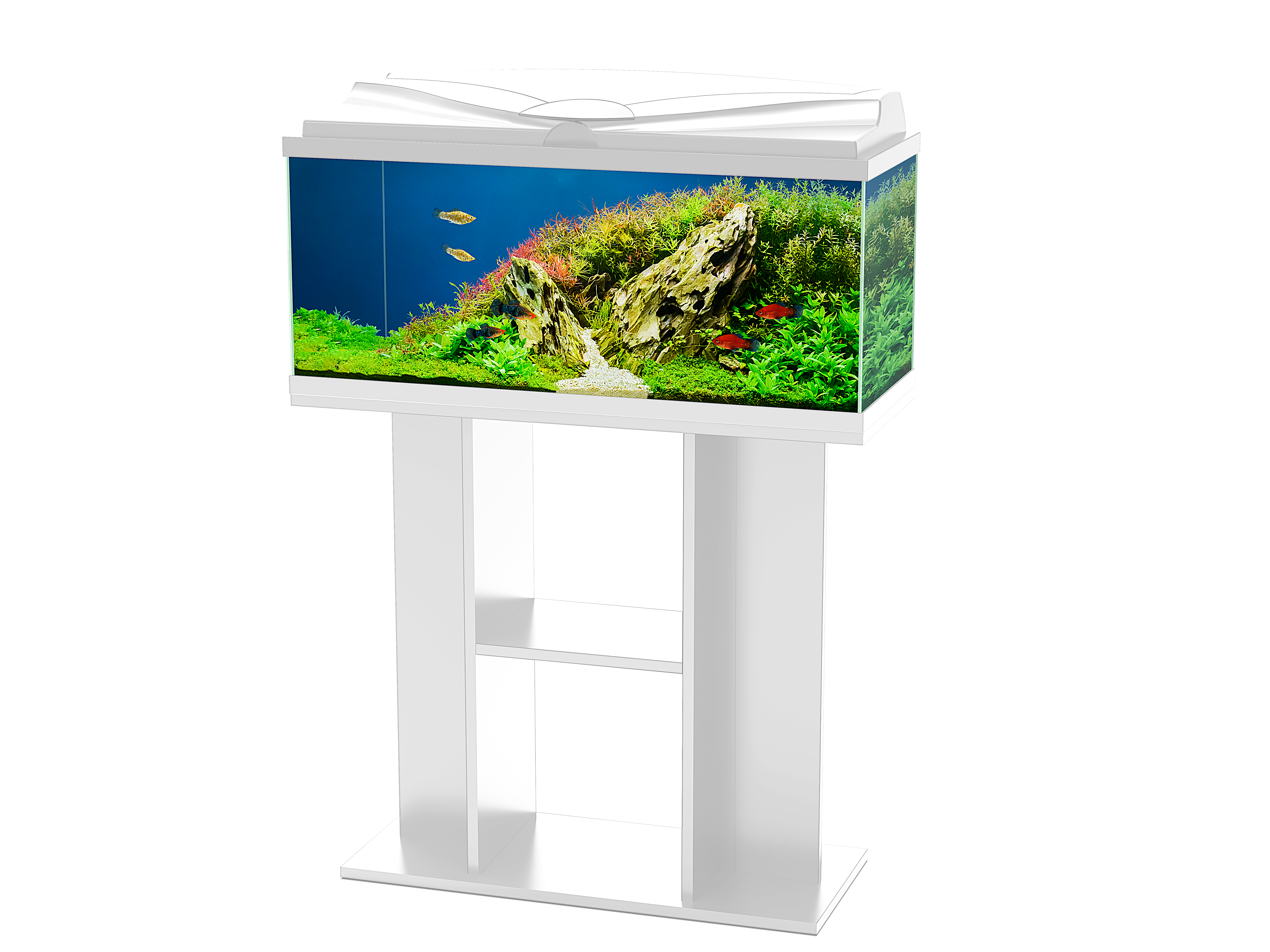 Ciano - Meuble d'aquarium Aqua 80 blanc L80 x l30 x h70 cm - CIANO - Image 4