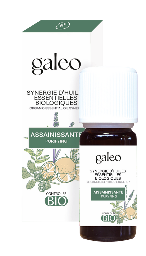 Galeo - Synergie Huile Essentielle Assainissante BIO - CERTIFIE ECOCERT - Image 1
