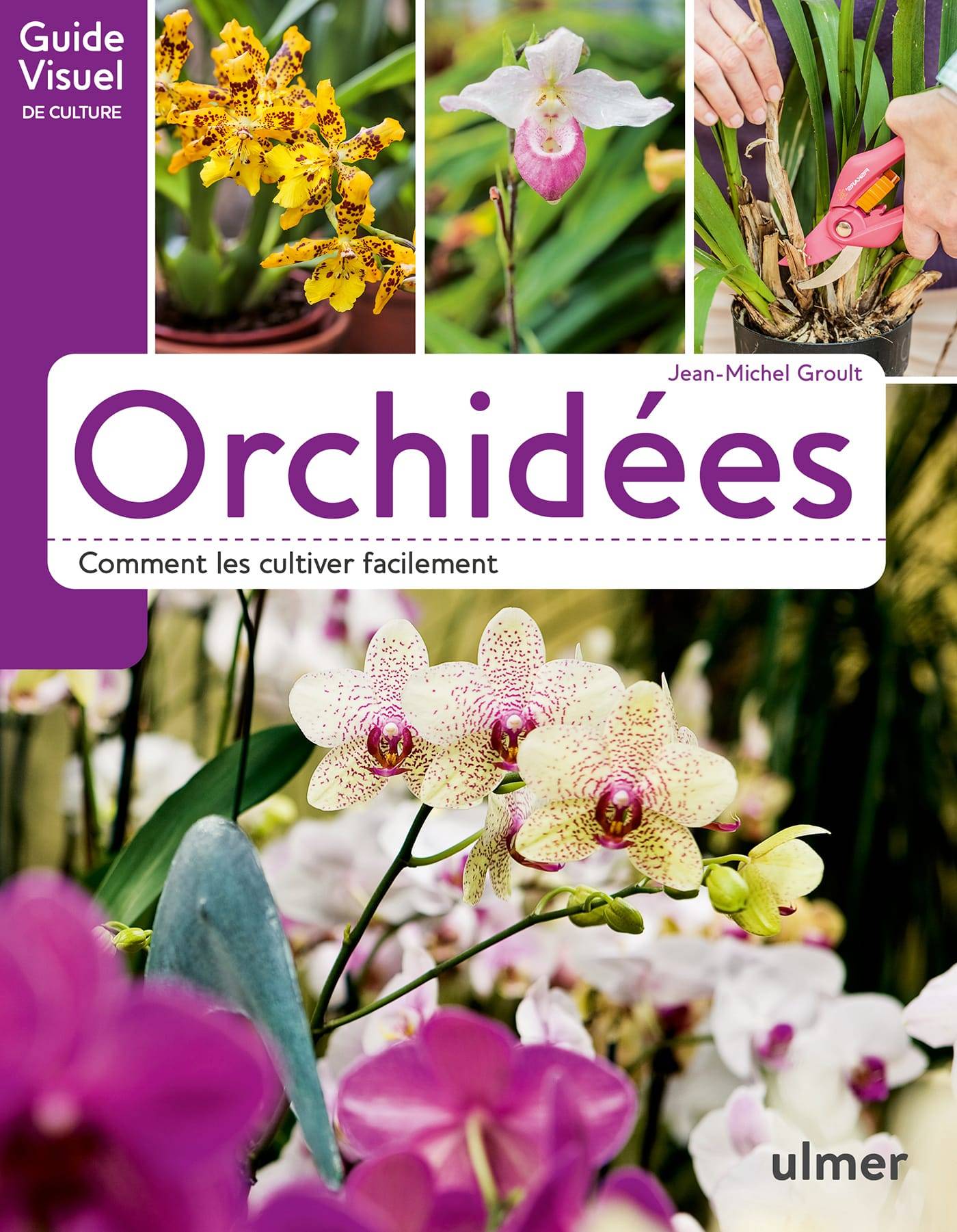 Ulmer - Orchidées