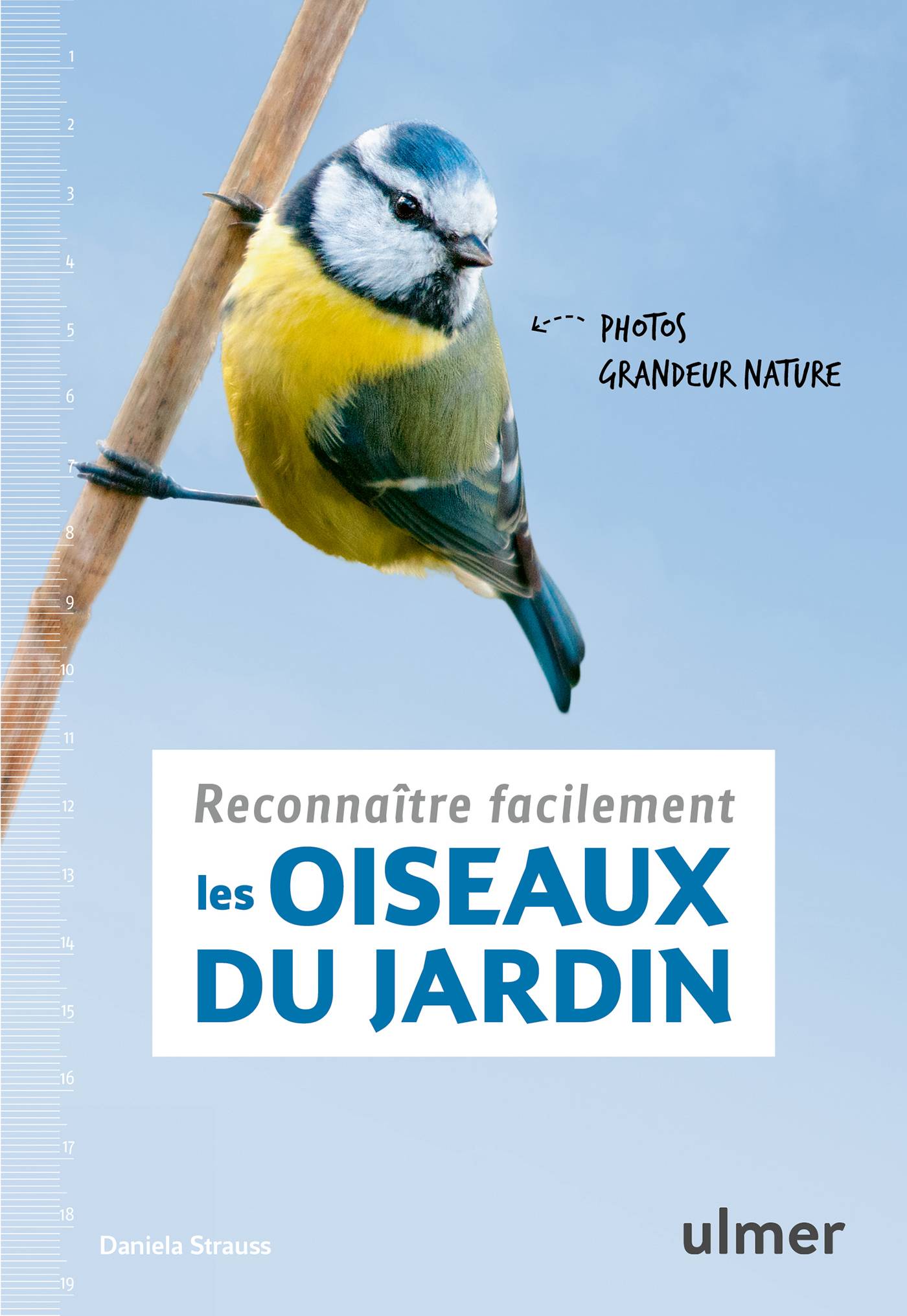 Ulmer - Reconnaître facilement les oiseaux du jardin - Strauss Daniela