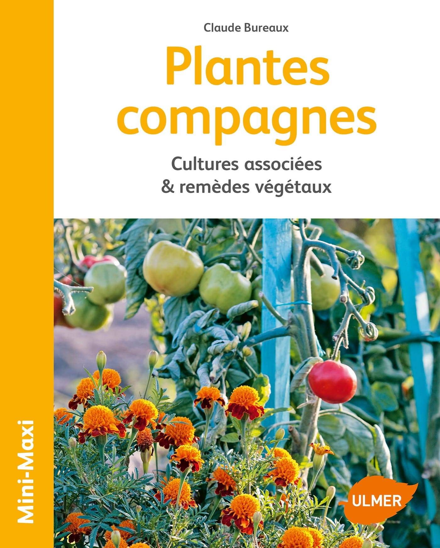 Ulmer - Plantes compagnes