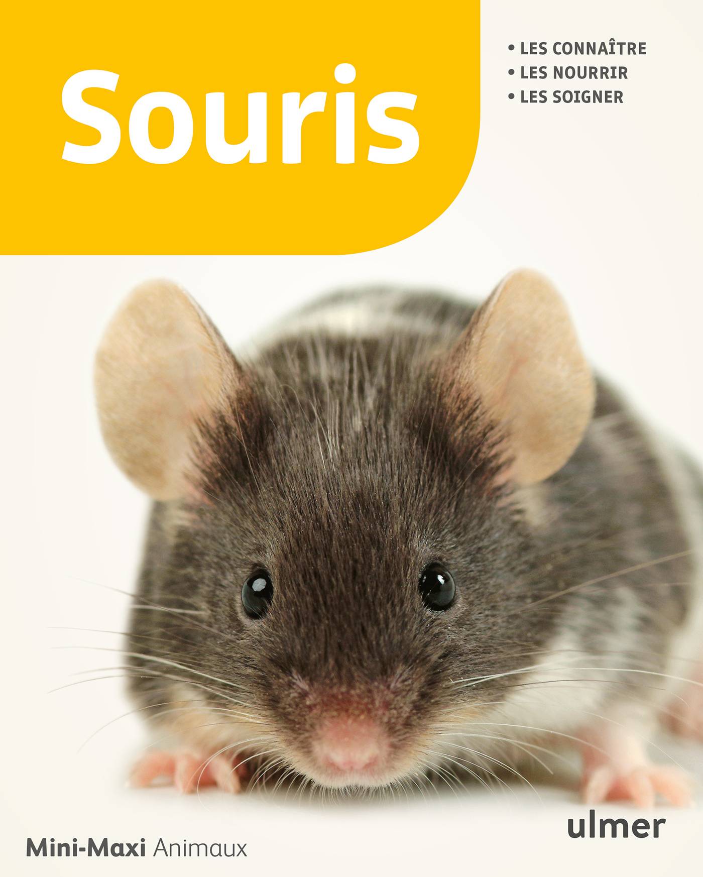 Ulmer - Souris - Gassner Georg