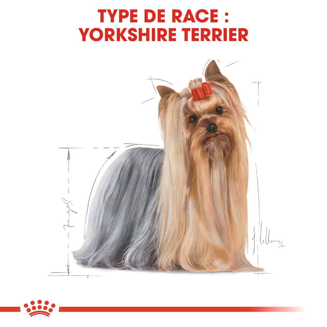 Royal Canin - Mousse chien Yorkshire adulte ROYAL CANIN - Imagen 5