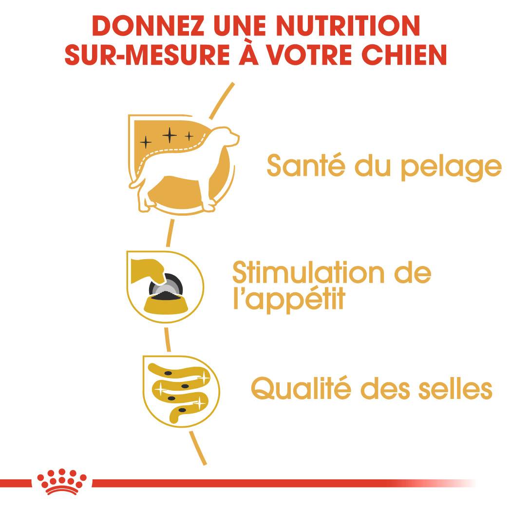 Royal Canin - Mousse chien Yorkshire adulte ROYAL CANIN - Imagen 3