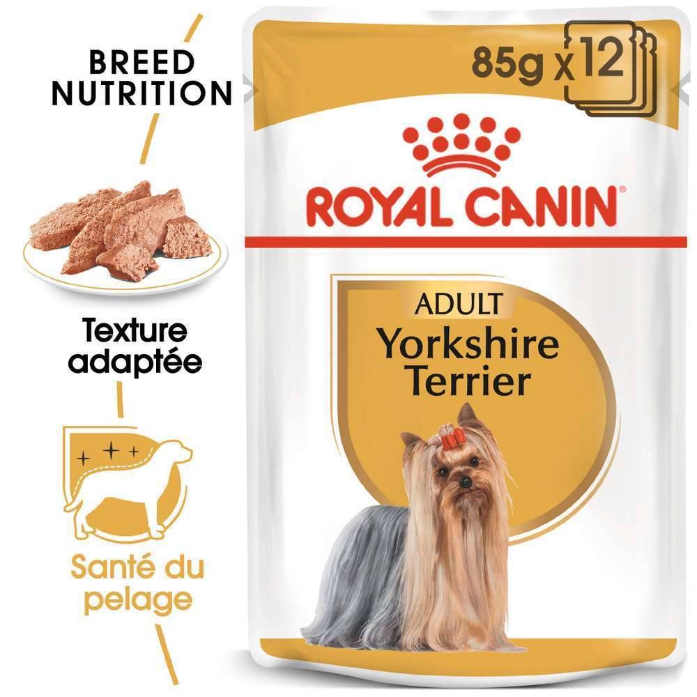 Royal Canin - Mousse chien Yorkshire adulte ROYAL CANIN - Imagen 8