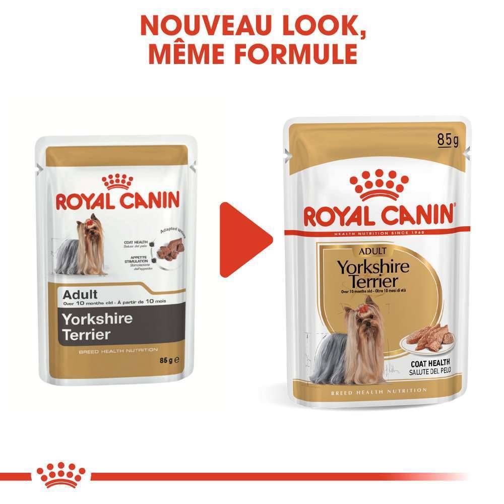 Royal Canin - Mousse chien Yorkshire adulte ROYAL CANIN - Imagen 7