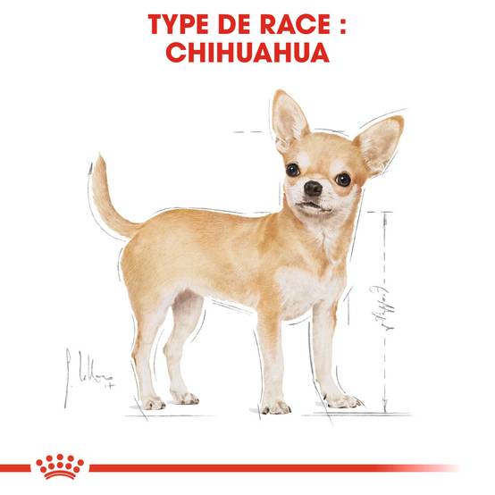 Royal Canin - CHIHUAHUA ADULT 12X85G - Image 7