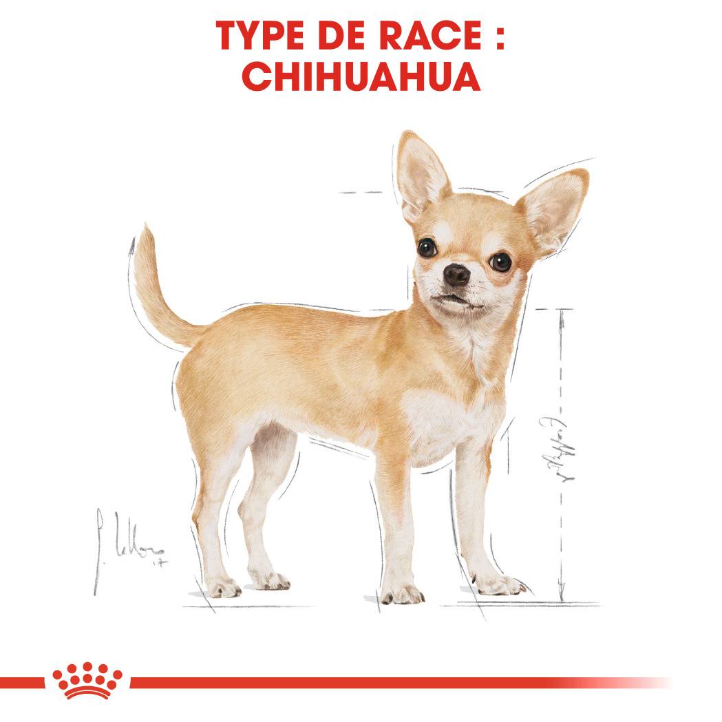 Royal Canin - CHIHUAHUA ADULT 12X85G - Imagen 7