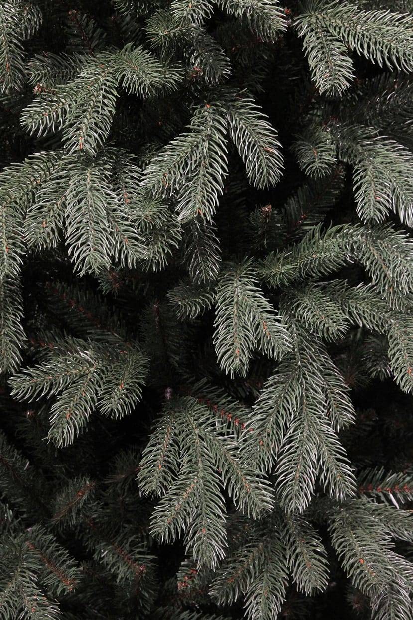Black Box Trees - Sapin de noël Tanoak vert avec 1412 branches - Ø.130 x H.185 cm - Image 3