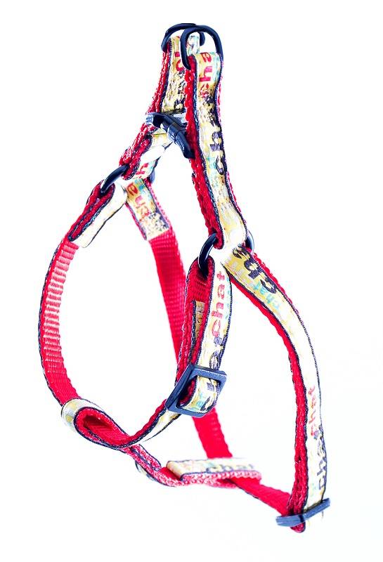 Martin Sellier - Arnés gato nylon rojo 10-20/35 – MARTIN
