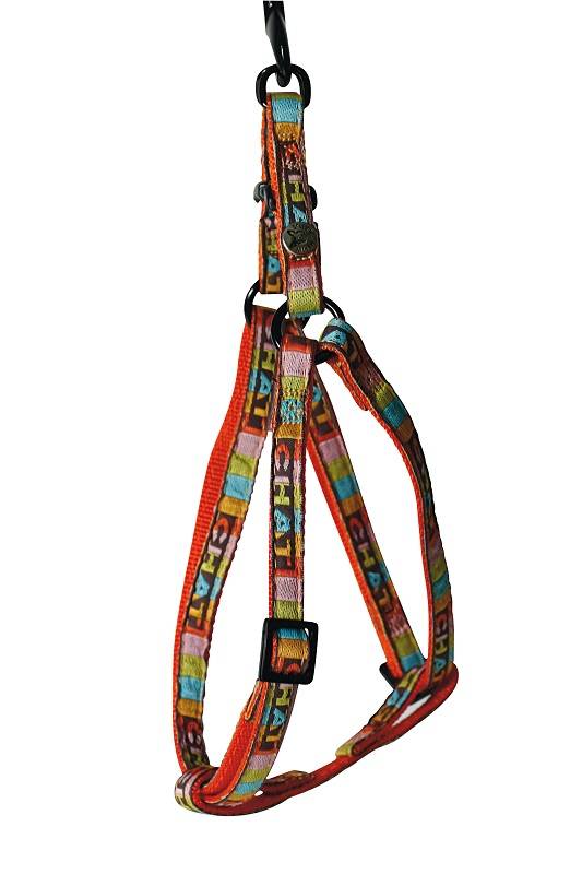 Martin Sellier - Harnais chat nylon rouge 10-20/35 – MARTIN