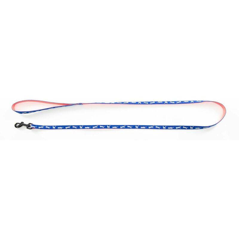 Martin Sellier - Laisse pour chat nylon bicolore bleu rouge 10 mm 120 cm – MARTIN - Imagen 2