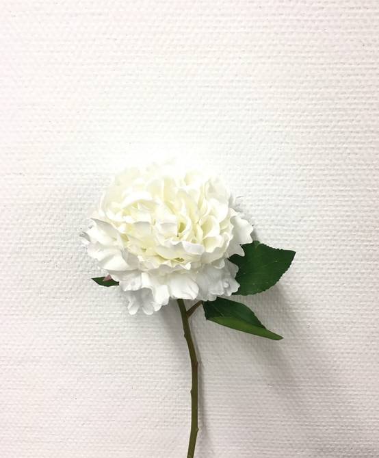Sans Marque - Tige pivoine blanche 38 cm