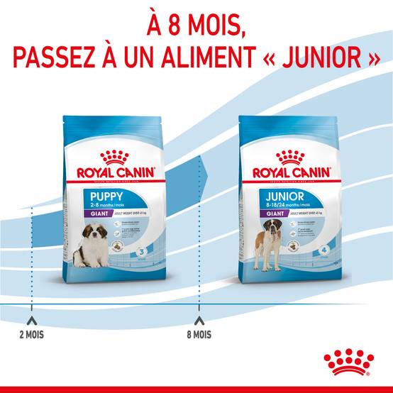 Royal Canin - Croquettes chien Puppy Giant – ROYAL CANIN - Image 7