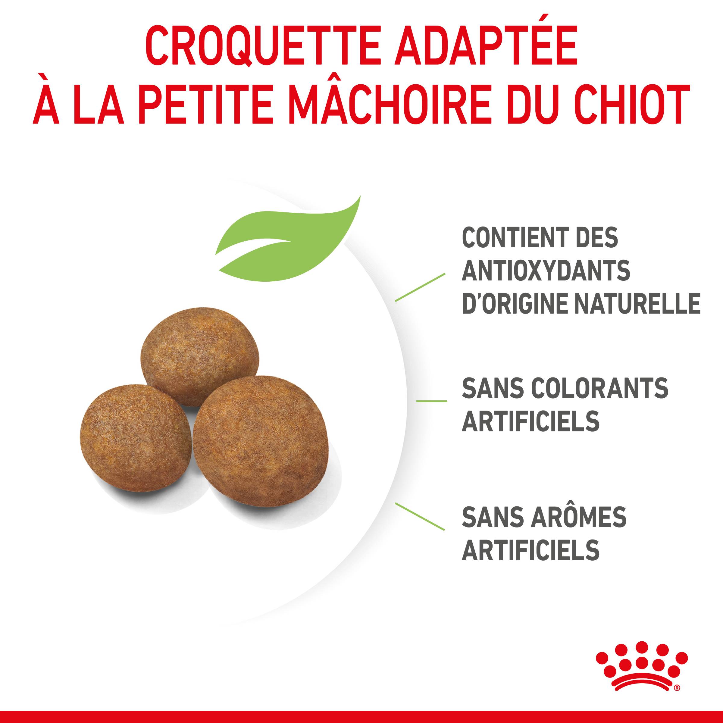 Royal Canin - Croquettes chien Puppy Giant – ROYAL CANIN - Image 6