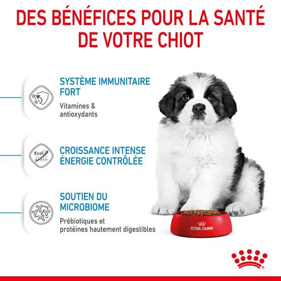 Royal Canin - Croquettes chien Puppy Giant – ROYAL CANIN - Image 5