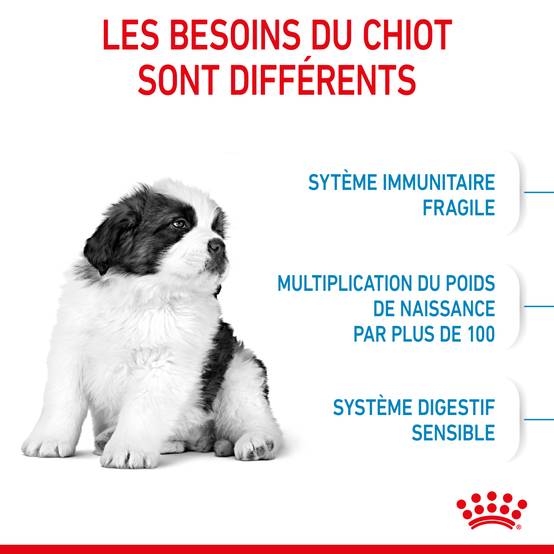 Royal Canin - Croquettes chien Puppy Giant – ROYAL CANIN - Image 8