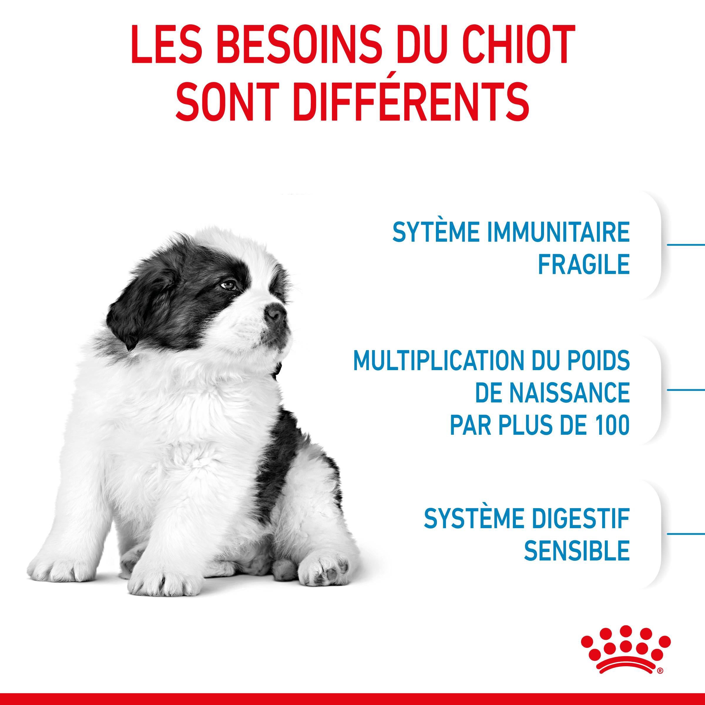 Royal Canin - Croquettes chien Puppy Giant – ROYAL CANIN - Image 8