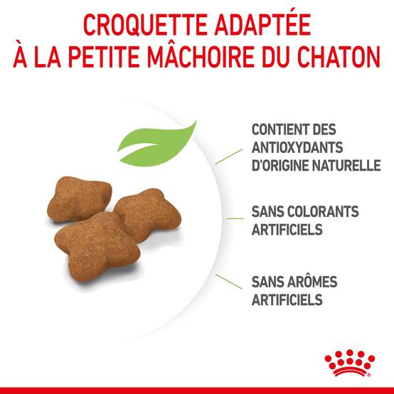 Royal Canin - Croquettes chaton stérilisé Kitten Stérilisé - ROYAL CANIN - Image 3