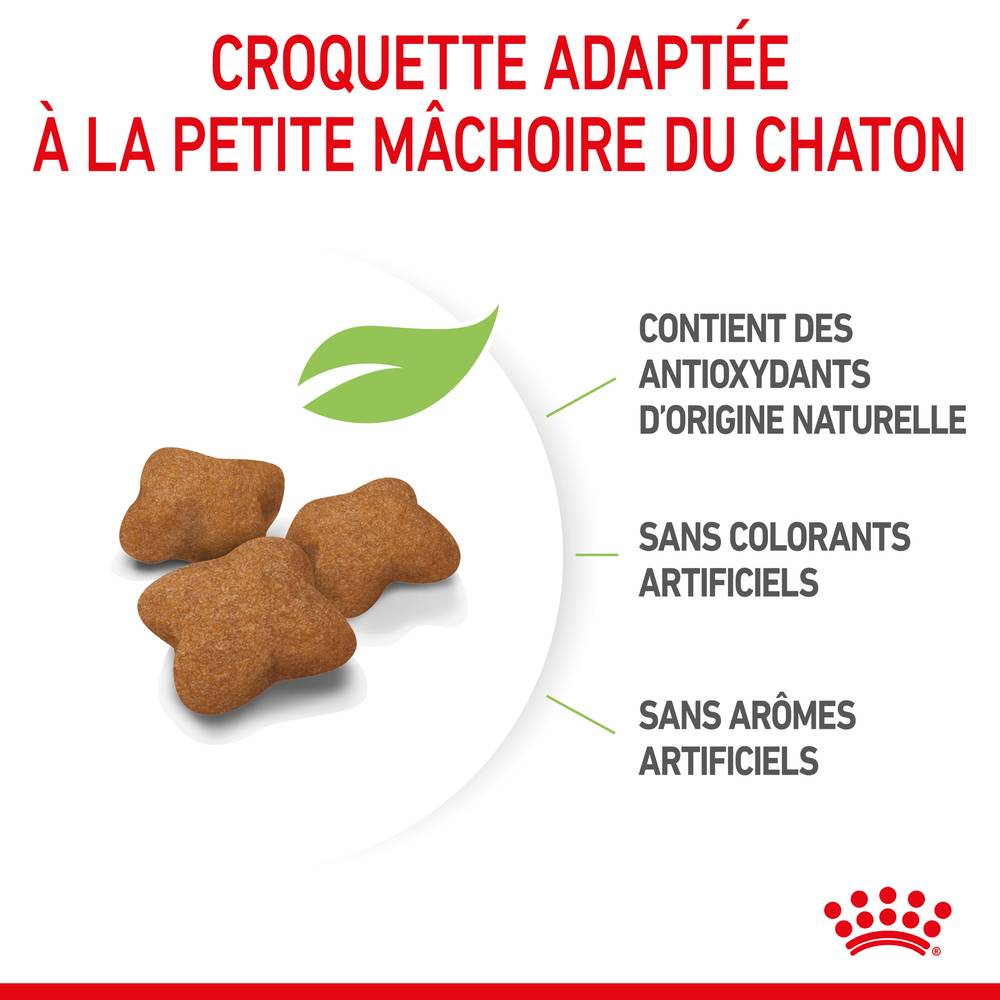 Royal Canin - Croquettes chaton stérilisé Kitten Stérilisé - ROYAL CANIN - Image 3
