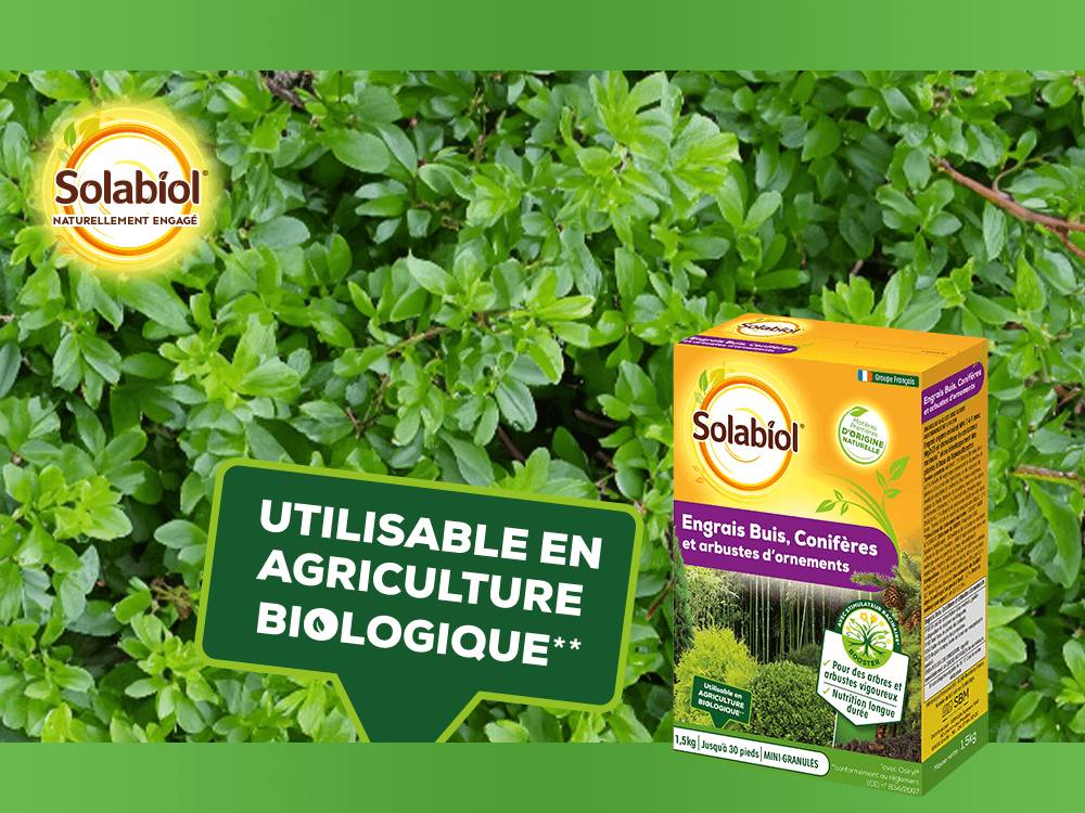 Solabiol - Engrais arbres et arbustes - SOLABIOL - Imagen 5