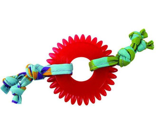 Petstages - Jouet à mâcher pour chat Kitty Chew Wheel