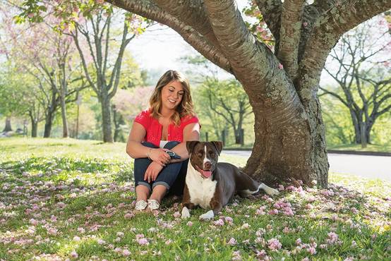 Petsafe - Petsafe - Système d'éducation à stimulation - portée 900 m - Image 2
