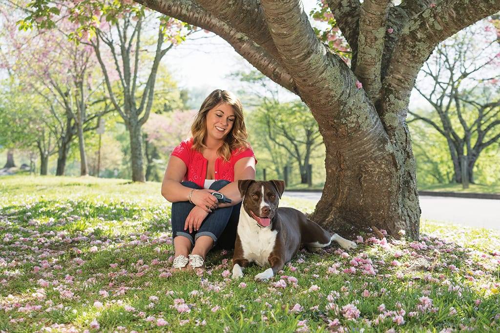 Petsafe - Petsafe - Système d'éducation à stimulation - portée 900 m - Imagen 2