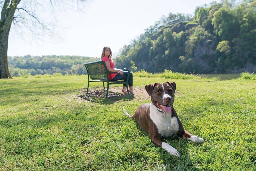 Petsafe - Petsafe - Système d'éducation à stimulation - portée 900 m - Imagen 10