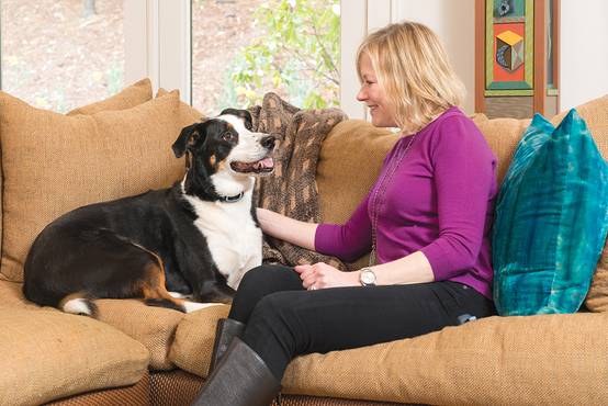 Petsafe - Système de dressage PETSAFE - Image 6