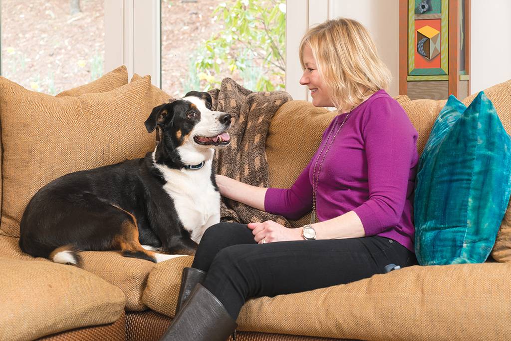 Petsafe - Système de dressage PETSAFE - Imagen 6
