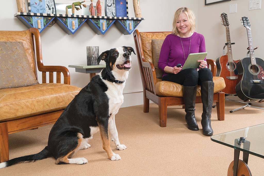 Petsafe - Système de dressage PETSAFE - Imagen 8