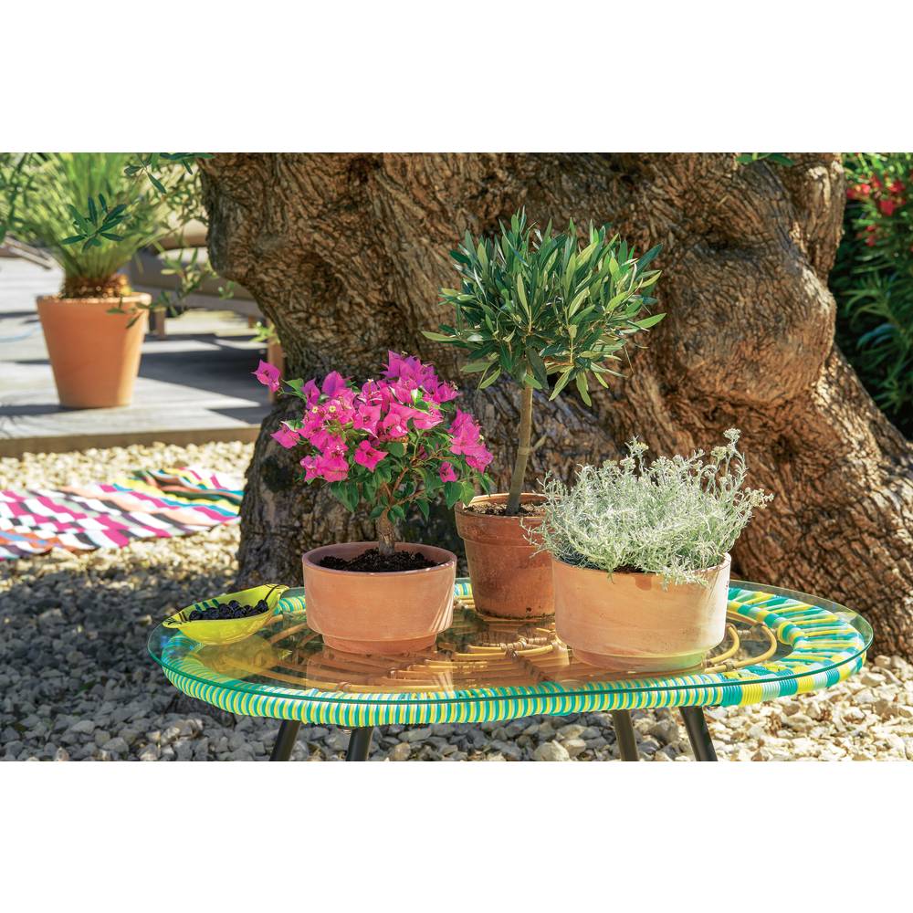 Pot en terre cuite D 18 x H 11 cm - GOICOECHEA - Imagen 2