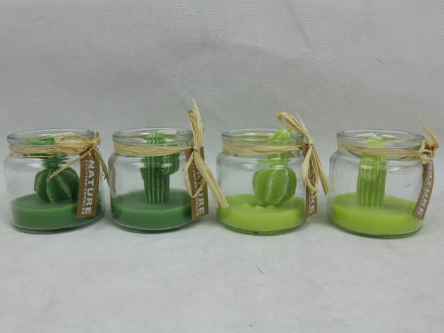 Ciddeco - Bougie citronnelle en forme de cactus dans un petit pot en verre