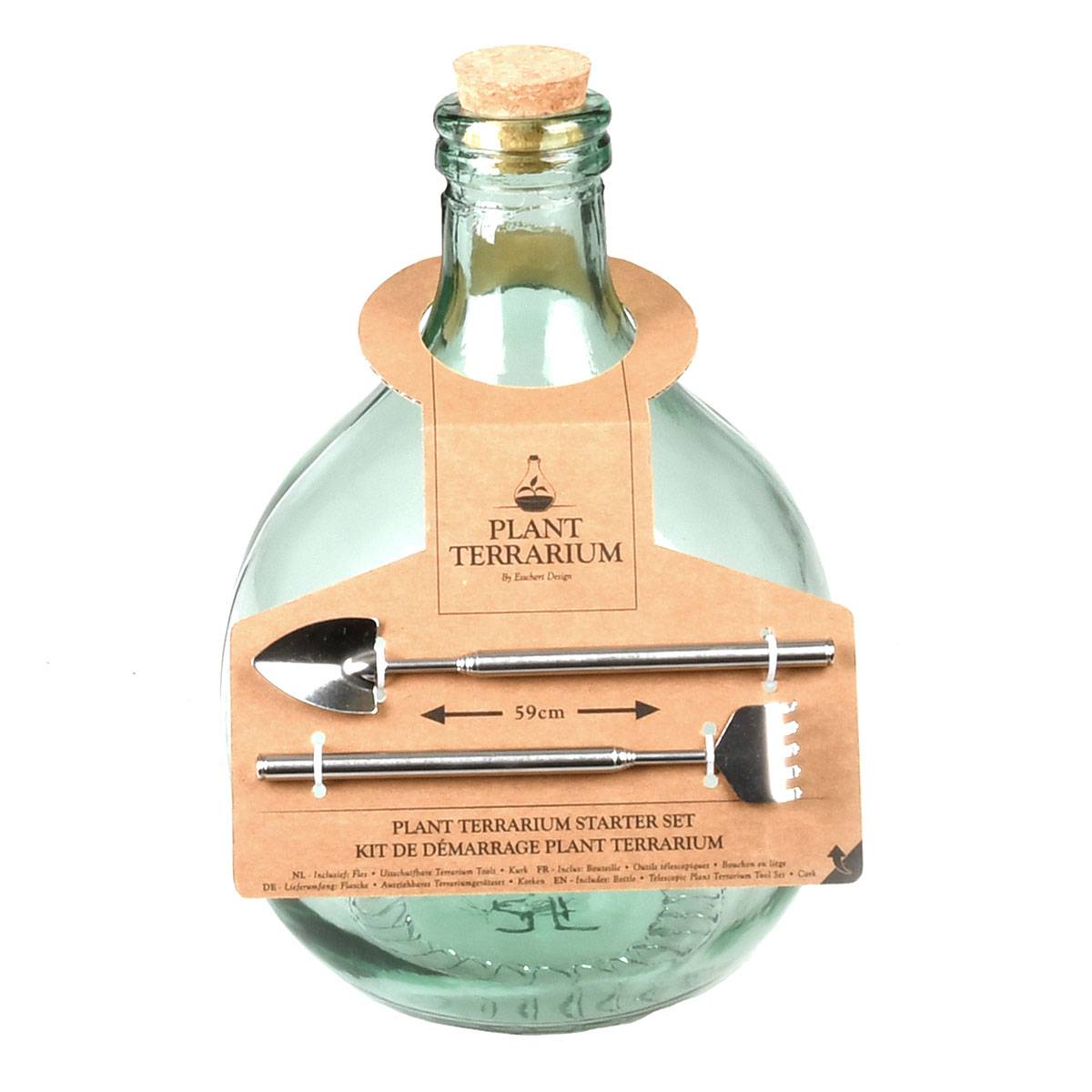 Esschert Design - Kit De Démarrage Plante En Terrarium - ESSCHERT DESIGN